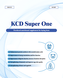 KCD Super One