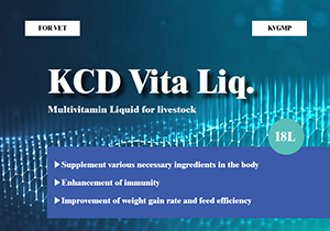 KCD Vita Liq